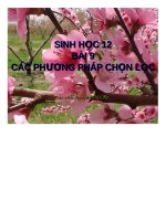 Tài liệu các phương pháp chọn lọc