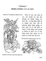 Cẩm nang kỹ thuật nhân giống cây tập 2 part 7 docx