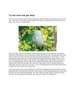 Tự nấu nước mát giải nhiệt pdf