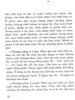 Hướng dẫn bón phân cân đối và hợp lý cho cây trồn part 4 potx