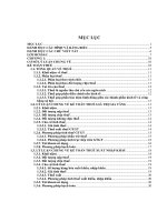 Thực trạng công tác kế toán thuế tại công ty TNHH hoàng hải