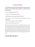 Tổ chức điều hànhquản lý bóng đá toàn thế giới pptx