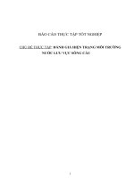 ĐÁNH GIÁ HIỆN TRẠNG môi TRƯỜNG nước lưu vực SÔNG cầu