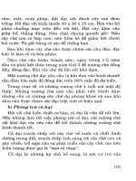 Cây chè các biện pháp nâng cao năng suất part 6 pdf