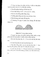 Kỹ thuật vườn ươm cây rừng ở hộ gia đình part 4 pps