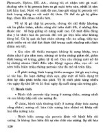 Bệnh gia cầm - Các bệnh không lây part 4 pptx