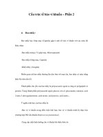 Cấu trúc tế bào vi khuẩn – Phần 2 ppt