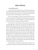 Đánh giá hiệu quả hoạt động sản xuất kinh doanh tại công ty cổ phần bao bì 32