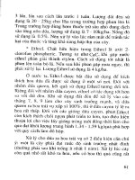 Cây dứa và kỹ thuật trồng part 7 ppsx