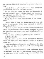 Cây sắn từ cây lương thực chuyển thành cây công nghiệp part 3 pot