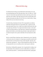 Phân tích bài sóng pot