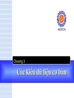 Chương 3 Các kiểu dữ liệu cơ bản ppt