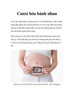 Canxi hóa bánh nhau ppsx