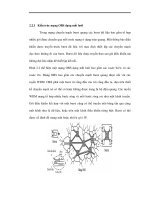 NGHIÊN CỨU CÁC GIẢI THUẬT XẾP LỊCH ĐỂ TỐI ƯU HÓA VIỆC TRUYỀN SỐ LIỆU TRONG MẠNG OBS - 3 pptx