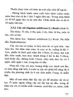 Bệnh thường gặp ở cá trắm cỏ và biện pháp phòng trị part 4 potx