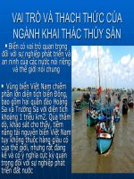 VAI TRÒ VÀ THÁCH THỨC CỦA NGÀNH KHAI THÁC THỦY SẢN ppsx