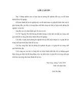 Nghiên cứu sản xuất sản phẩm thủy phân từ đầu cá của ngành chế biến thủy sản