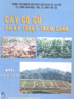 Cây có củ và kỹ thuật thâm canh (Cây sắn) part 1 pps