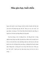 Mùa gieo hạt, buổi chiều doc