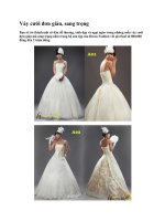 Váy cưới đơn giản, sang trọng docx