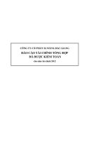 CÔNG TY cổ PHẦN XI MĂNG bắc GIANG báo cáo tài CHÍNH TỔNG hợp đã được KIỂM TOÁN cho năm tài chính 2012