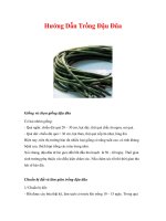 Hướng Dẫn Trồng Đậu Đũa docx