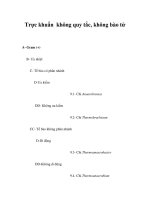 Trực khuẩn không quy tắc, không bào tử pptx