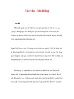 Tóc vấn - Má Hồng - Hình ảnh người phụ nữ Việt Nam xưa ppt