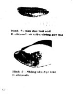 Phòng trị côn trùng và nhện gây hại cây ăn trái (Xoài) part 2 pps