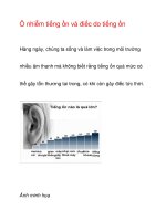 Ô nhiễm tiếng ồn và điếc do tiếng ồn docx
