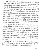 Hỏi đáp về trồng, chăm sóc Ngô, Khoai, Sắn part 9 ppt
