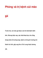 Phòng và trị bệnh sùi mào gà pptx