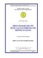 Khóa luận Phân tích rủi ro tín dụng tại SacomBank chi nhánh An Giang