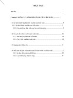 BÁO CÁO ĐÁNH GIÁ CHUẨN MỰC VỀ KIỂM TOÁN TÀI CHÍNH VIỆT NAM