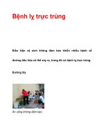 Bệnh lỵ trực trùng pot