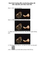 Quá trình hướng dẫn và phương pháp cắt viền một bức ảnh theo màu nền p1 potx