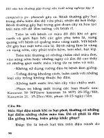 101 Câu hỏi thường gặp trong sản xuất nông nghiệp tập 4 part 9 ppsx