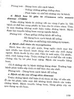 Cây sắn từ cây lương thực chuyển thành cây công nghiệp part 8 pps