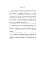 Tình hình hoạt động của ngân hàng thương mại cổ phần Đông Nam Á SeABank chi nhánh Hai Bà Trưng