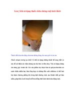 Lưu ý khi sử dụng thuốc chữa chứng ruột kích thích pdf