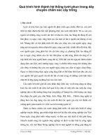 Quá trình hình thành hệ thống tưới phun trong dây chuyền chăm sóc cây trồng p1 pptx