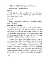 Phòng trị côn trùng và nhện gây hại cây ăn trái (Nhãn) part 5 pdf