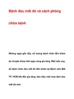 Bệnh đau mắt đỏ và cách phòng chữa bệnh pps