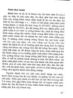 Bệnh héo rũ hại cây trồng cạn, biện pháp phòng chống part 8 pot