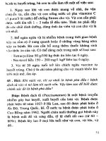 66 Câu hỏi đáp cho nông dân nuôi vịt siêu thịt part 6 potx