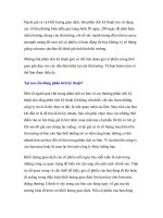 Giáo trình sự hình thành của thị trường chứng khoán trong những ngày đầu phát triển p6 docx