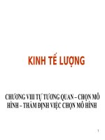 KINH TẾ LƯỢNG CHƯƠNG 8 - TỰ TƯƠNG QUAN – CHỌN MÔ HÌNH – THẨM ĐỊNH VIỆC CHỌN MÔ HÌNH ppsx