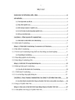 thực trạng và một số giải pháp đẩy mạnh ứng dụng e-marketing tại công ty cổ phần tinh vân