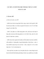 CẤU TRÚC, CƠ CHẾ TỔNG HỢP, TÍNH ĐẶC TRƯNG VÀ CHỨC NĂNG CỦA ADN ppsx