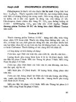 Biện pháp sử dụng nông dược an toàn và hiểu quả part 5 docx